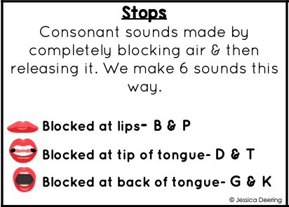 Stops Consonant Type