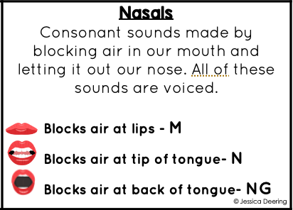 Nasal Consonant Type