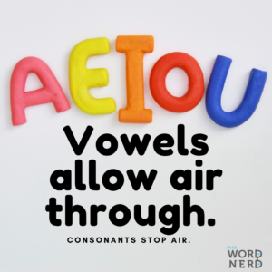 Difference between Vowels and Consonants