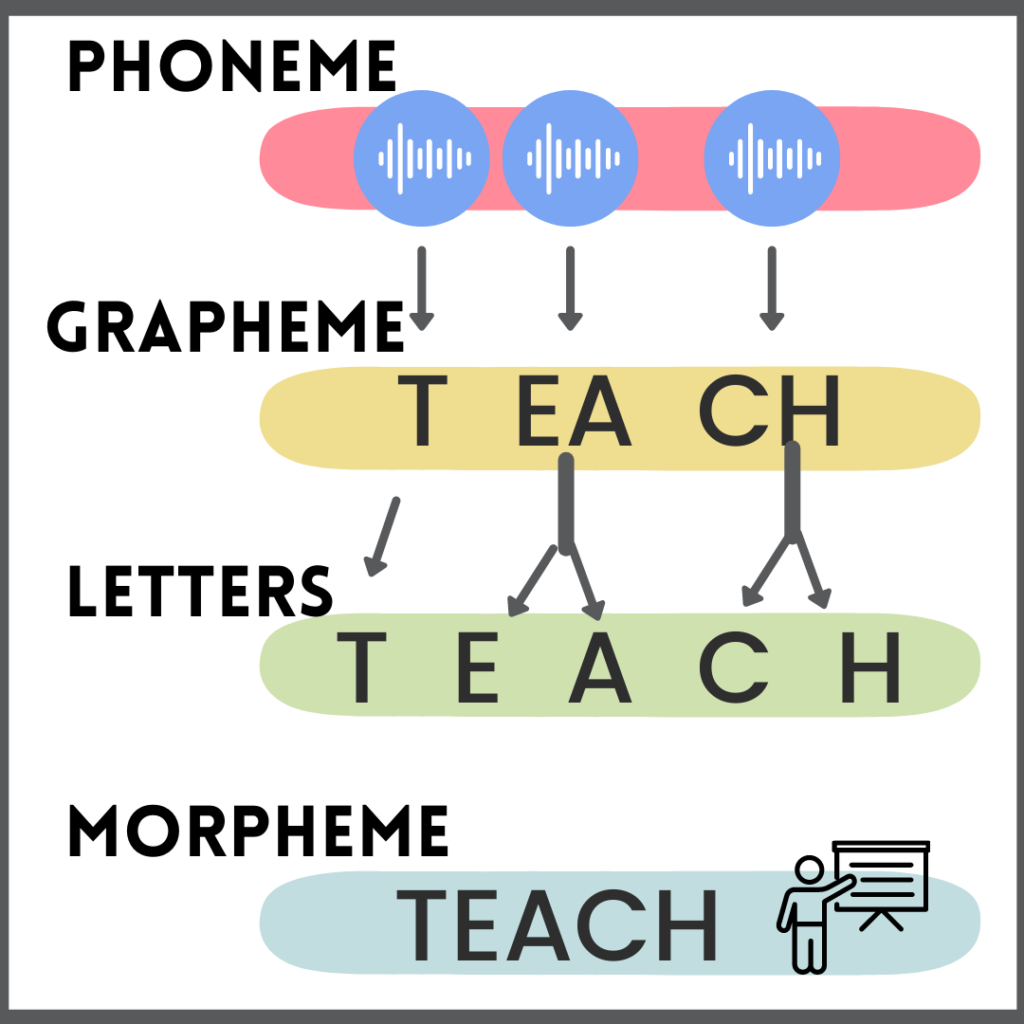 Phonemes, Graphemes and Morphemes