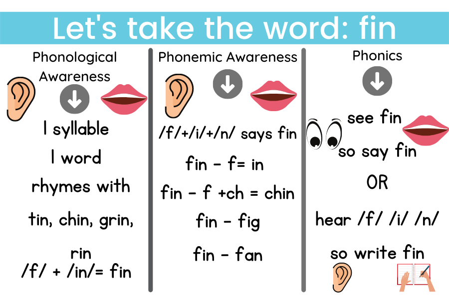 How Phonological Awareness, Phonemic Awareness and phonics relate